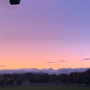 Meet your Posher, Bella